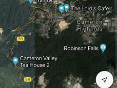 最後に、Cameron Valley Tea Houseに寄って、道沿いの茶畑を眺めて、キャメロンハイランド 旅行終了。