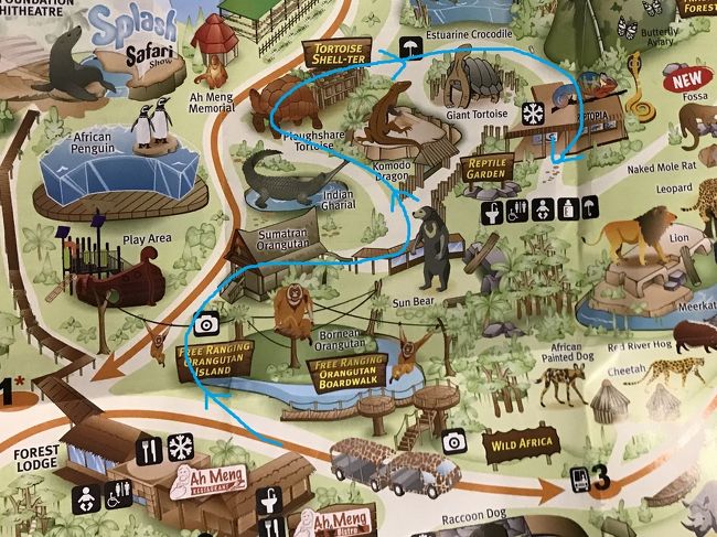 動物ずくめのシンガポールひとり旅 15 シンガポール動物園 レプトピアの部 シンガポール シンガポール の旅行記 ブログ By しろんさん フォートラベル