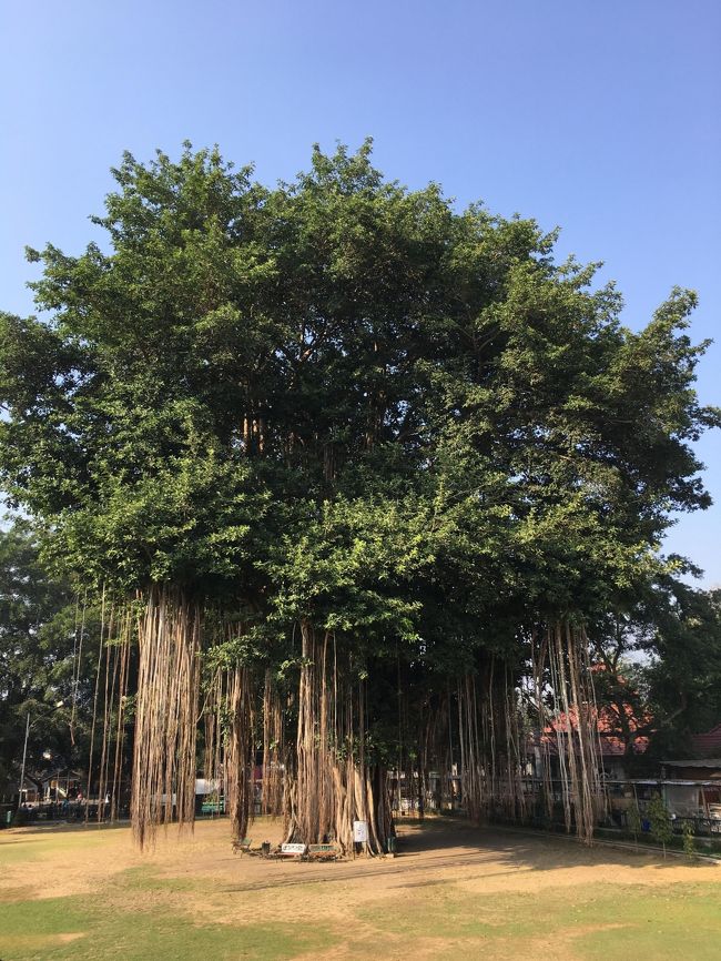 いったん自分のホテルに戻ってから、再度ツアーの観光です。