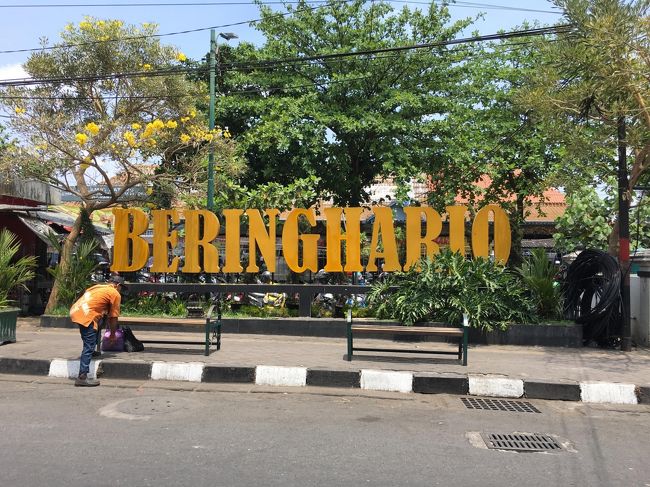 こちらの市場。