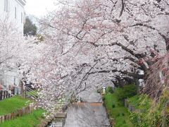 氷川会館下の堰