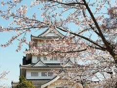 千葉城と桜