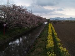 西の湖園地