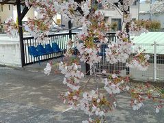 上田城に行く前に駐車場の前にある
上田城跡公園児童遊園を散策します。