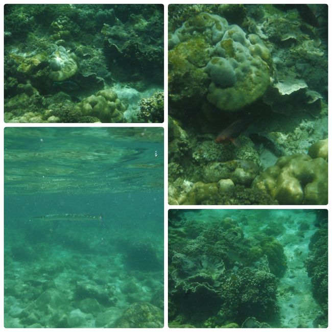 2か所目<br />ここは先程の場所よりも澄んでました。