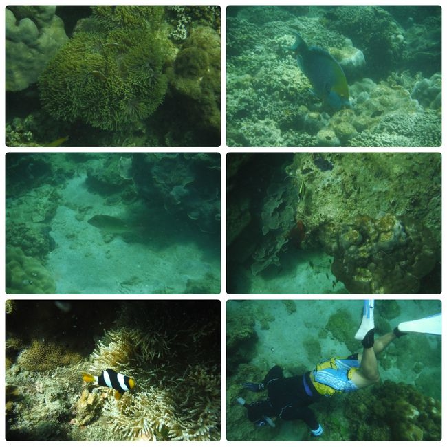 見たことない魚も！<br /><br />右下はｋさん！<br />流石に日本一!?の多良間島フリーク<br />素潜り上手いです。