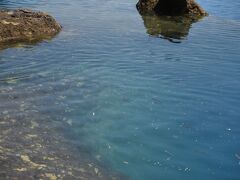 鳥居の先の田沢湖の水は青く澄んでいました。