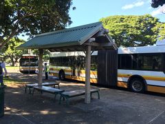 ＜ハワイ大学マノア校＞10:40

ロータリー型のバス停に到着。

路線によって違うバス停が数カ所があるので
昨年降りたバス停とは違う場所でした。