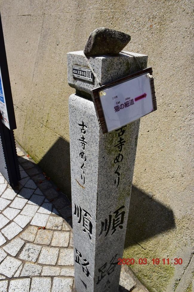 春 瀬戸内の古い町並みを歩く 1日目 2 尾道 猫好き必見のスポット 猫の細道 尾道 広島県 の旅行記 ブログ By Jh2fxvさん フォートラベル