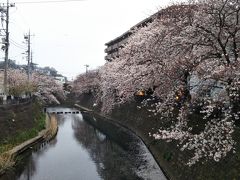 桜がきれい☆

この川が「大岡川」☆
桜木町方面まで続いている川です。