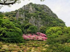 御船山楽園の最大の見どころ、「つつじ谷」にやってきました。
すり鉢状の谷に約２０万本の久留米つつじが絨毯のように敷き詰められています。