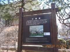 盛岡の石割桜を見るため盛岡地方裁判所に。

盛岡地方裁判所の構内にある石割桜は、 岩手県人がお国自慢を

するとき、「石割桜こそ日本一の名桜」と言うそうです。 

