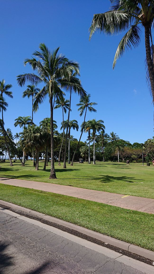 道々の景色がたまらない