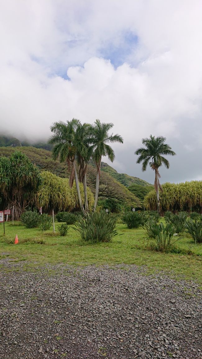 トロピカルファームに到着して、ナッツの試食やコーヒー飲み放題の間は雨が降るけど・・店から出ると雨が上がる