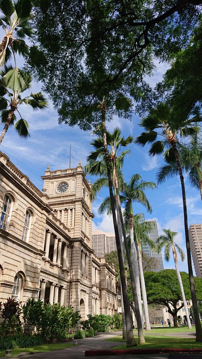 建物に合ったヤシの木が好き<br />しかも嵐はどこに？