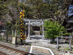 力餅家さんの角を曲がって真っ直ぐ進んだ先にある御霊神社です。
ここは鎌倉に来た時は積極的に寄っている場所です。
