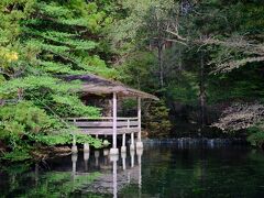 この池の水はとても綺麗。
マスも泳いでいます。