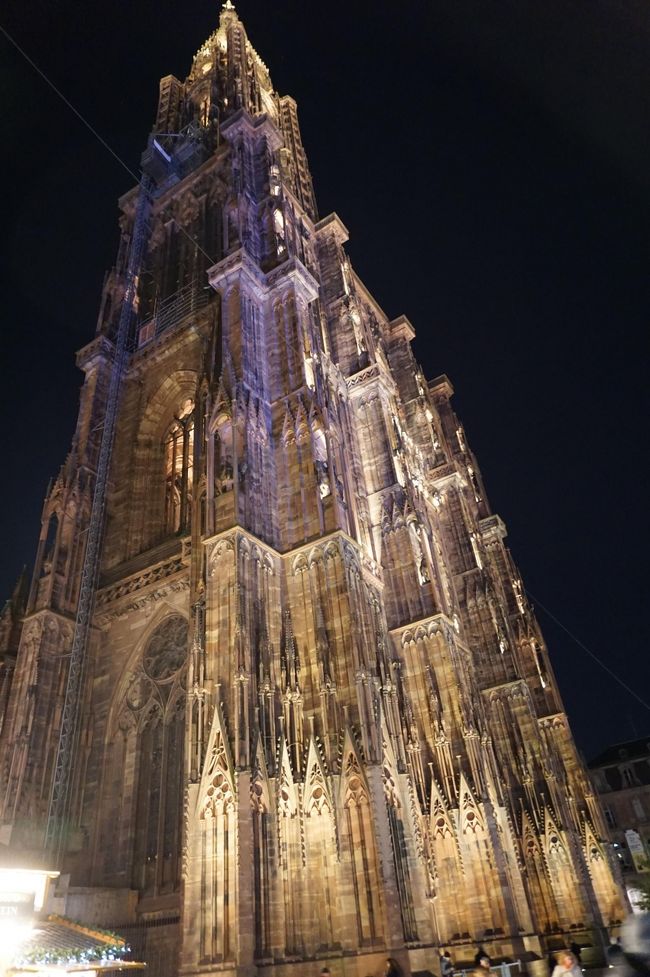 「イルミネーションが綺麗な通りを見つけたの」<br />わ～い、行ってみたい！<br />ユリアさんにくっついて、大聖堂広場に戻ります。