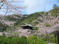 鎌倉や京都なんかの古都の桜、今年は外出規制だから、ここで古都らしさを楽しみましょうか