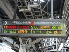 東京駅９時発の踊り子105号。(ダイヤ改正で修善寺行も下田行と同じ３号に統一されてしまいました。)