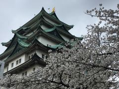 名古屋城と桜