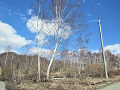 高杖スキー場です。この時期なのに雪が本当に無い！！です。