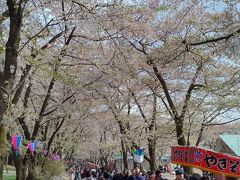 赤城南面千本桜まつり