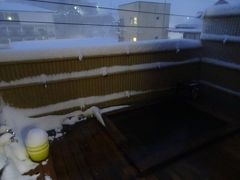 ２月９日。
昨日から渋温泉で一泊。
外湯めぐりもいいケド、今回のお宿は内湯もなかなかのものだヨ。