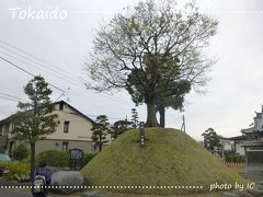 宝池寺一里塚
立派な一里塚がありました