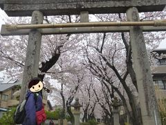 八幡神社です
桜の季節に来てよかった！