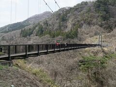 鬼怒川楯岩大吊橋遠望