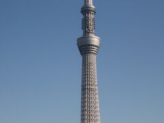 隅田公園-2　桜橋　花見　　　50/　　　　4