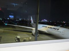 さて、夜の帳が下りると、やってきたのはこちらの機材。
帰りはお目当てのJALの新型機、A350です。