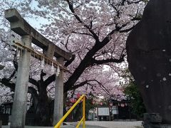 6時過ぎに久留米着です。
駅前の日吉神社が綺麗なので寄ってみました。