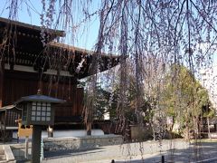 枝越しに見た本堂。安貞元年（1227）に建てられたもので、京都で最古の建物です。
国宝。