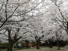 桜が満開でとても素敵でした(^^)

滞在時間2時間ほどでしたが、気分転換になる良い旅でした♪