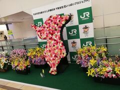 千葉駅には花のチーバくん