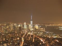 エンパイアステートビルからの夜景

中央はWTC　 大きく拡大すると、やや右方向に自由の女神も見えます