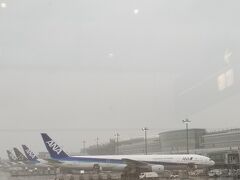羽田空港に着いたら
この天気・・・

土砂降り(/_;)