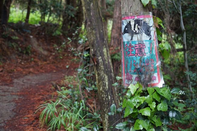 弓削島から「マンガの島」高井神島と「瀬戸内のどまんなか」魚島へ 瀬戸内あいらんど紀行vol.21