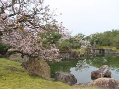 御殿の障子を開ければ　
本当はこのような　
見事なお庭の様子が楽しめるのですが