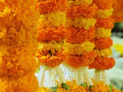 薄緑色のガクを剥いたあとのドークラック。
房の下の方の白い花です。

（撮影：パクローン花市場）