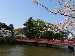 小田原桜まつり