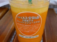 次にのま果樹園が経営するジューススタンド「noma-noma」でせとかのジュースを頂きます。
う～ん、ミカンのトロと言われるだけに、あまい！
フルーツジュースのなかで最高かも～