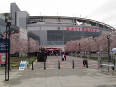 桜の木も植えられております。
一旦球場の外周を見てみる事にします。