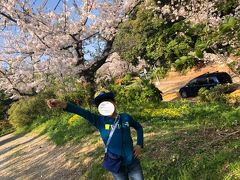 西公園内・遊歩道の桜