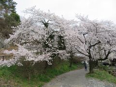 次は栃木市の太平山。

小学校2年生の遠足がここでしたので、40年近くぶりです。

手前の錦着山公園。
丘の上の公園なので、丘には登らずに車の中から桜を見てオシマイ。