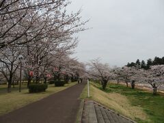 壬生の東雲公園。

同じく、人を避けながら歩きました。