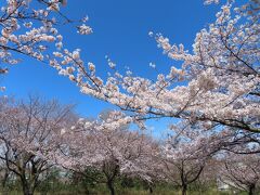 座間公園