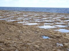 ゴゾ島の天然塩は粗削りで大粒なのが特徴だとか。
冬場は雨が多いので、塩づくりはやっていない。